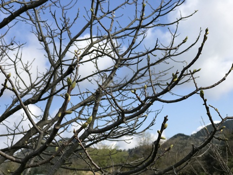 c0212604_14343693.jpg