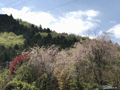 c0212604_947492.jpg