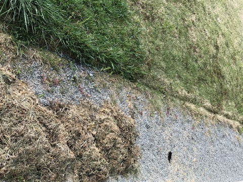 c0212604_955120.jpg