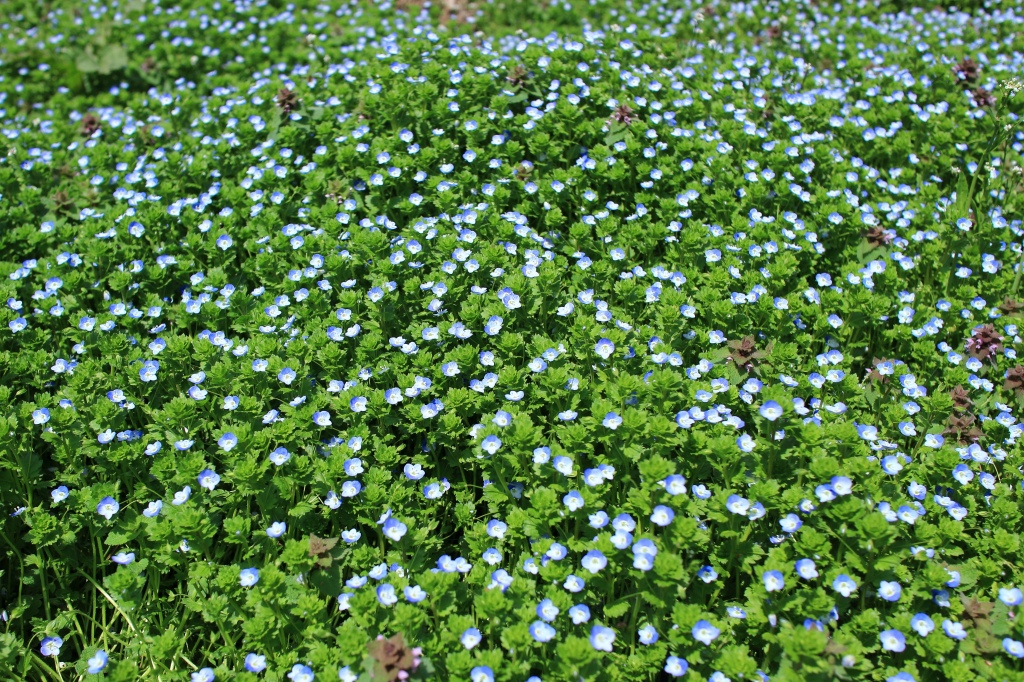 b0050305_10372766.jpg