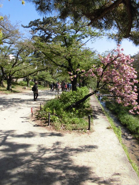 e0047608_21222381.jpg