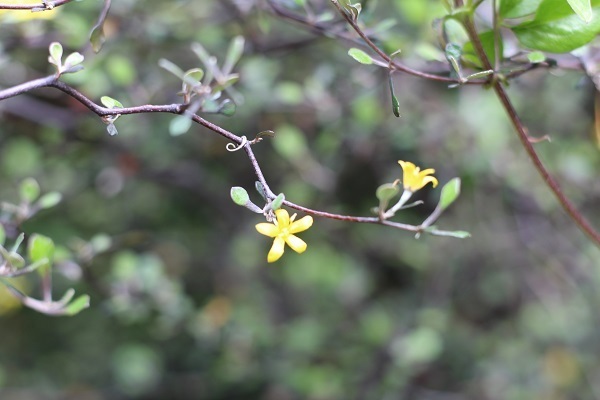 c0178009_00073194.jpg