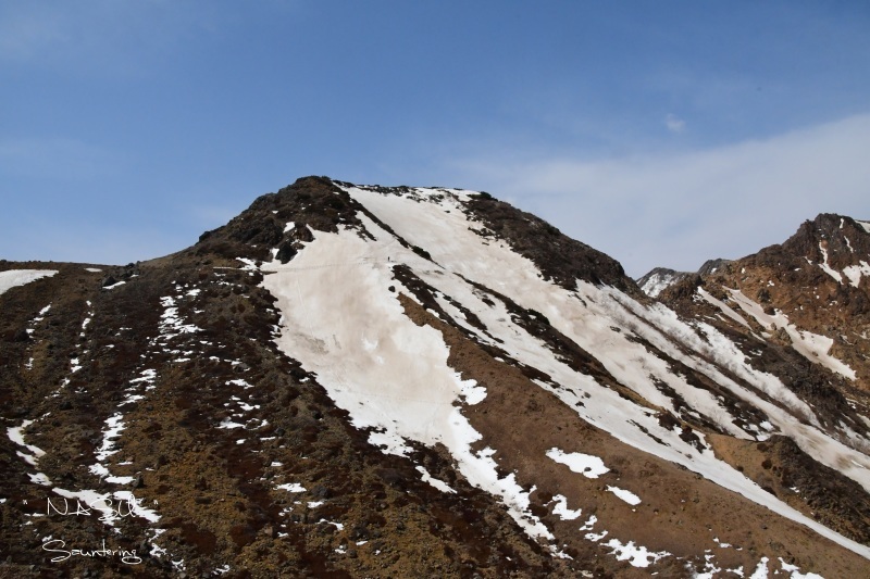 b0223512_19502725.jpg
