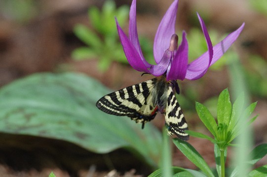 c0152317_16120094.jpg
