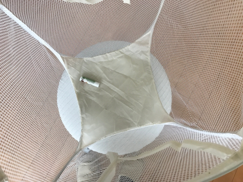e0163721_09593870.jpg