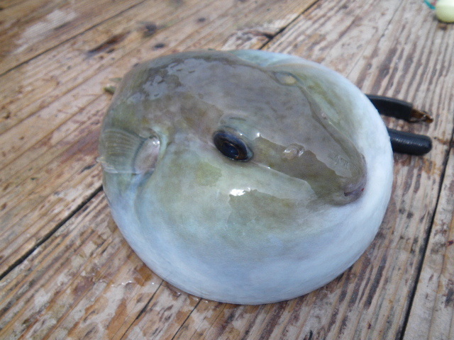 e0102422_18091048.jpg