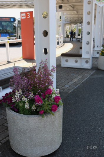 f0293522_20451905.jpg