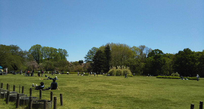 a0108328_16501478.jpg