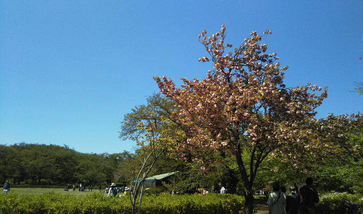 a0108328_16502939.jpg