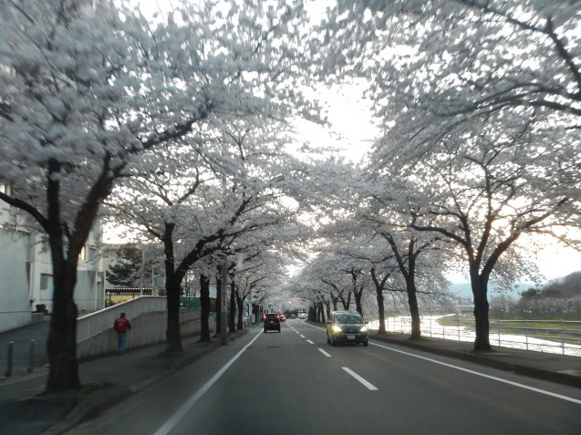 f0118332_00414408.jpg