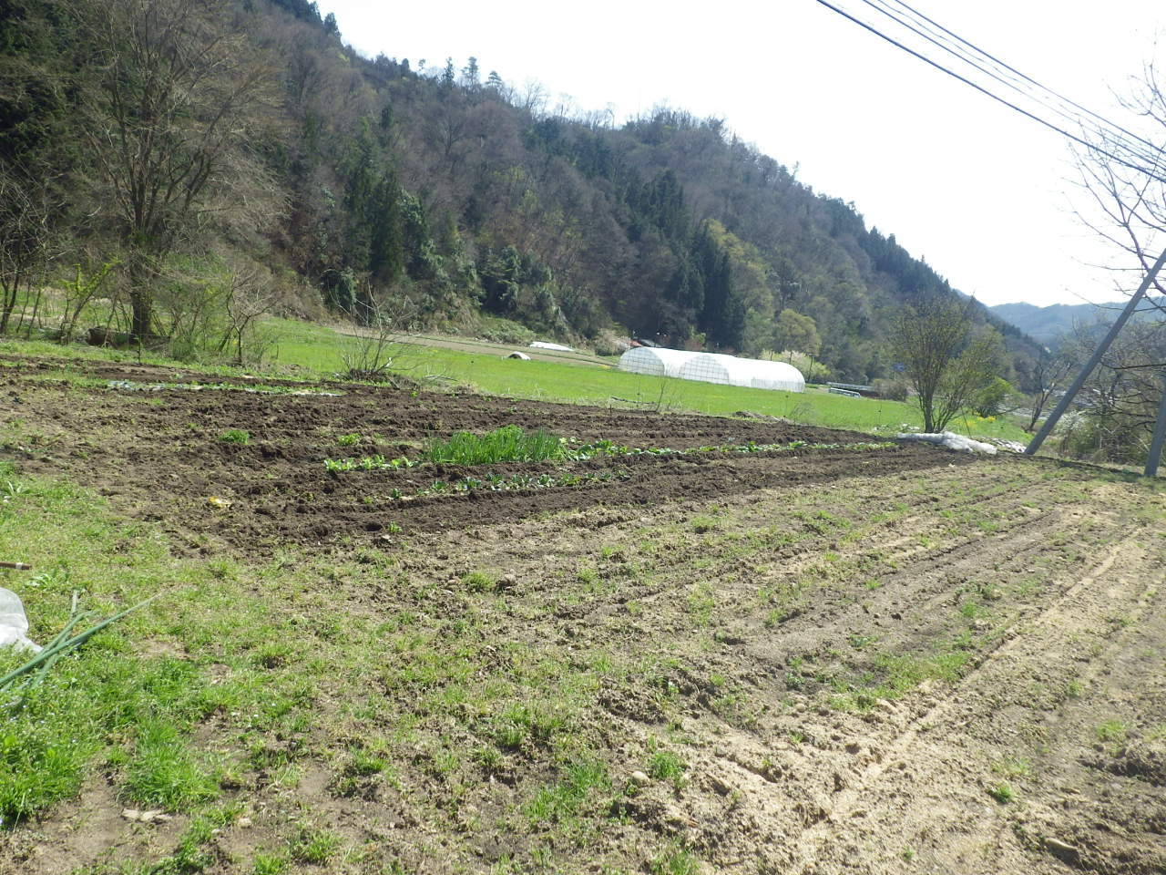 c0300035_10255632.jpg
