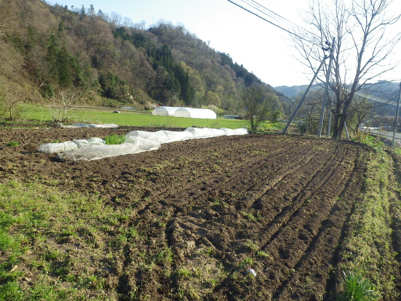 c0300035_10273813.jpg