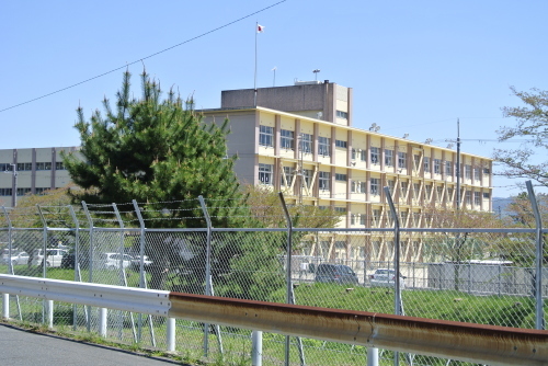 d0170835_13143556.jpg
