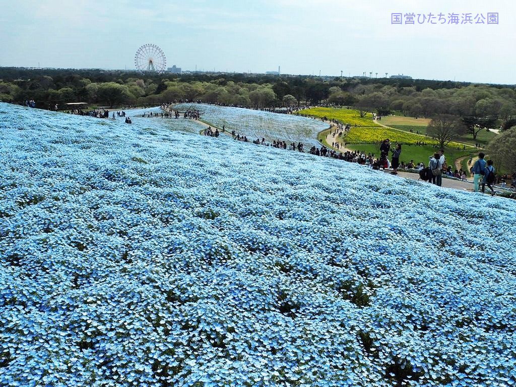 e0052135_19120534.jpg