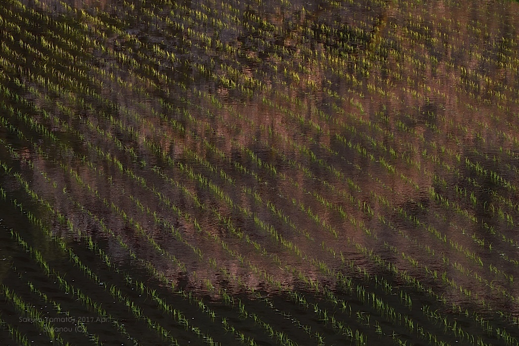 a0212036_07585240.jpg