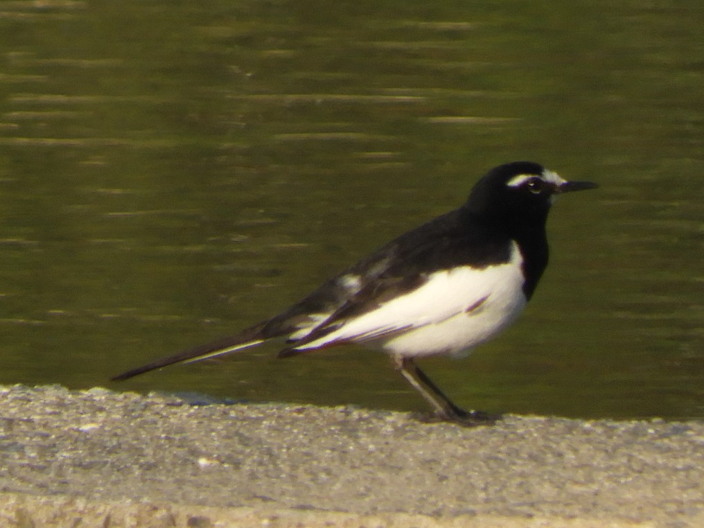 f0113136_2017949.jpg