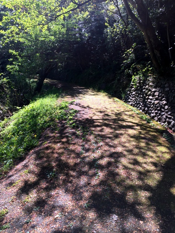 b0057140_16125587.jpg