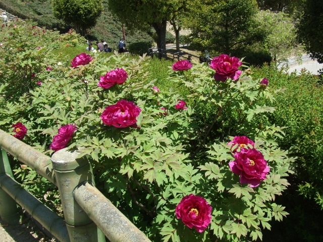 f0377351_18562693.jpg