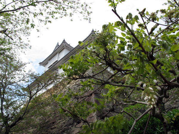 c0147952_22072376.jpg