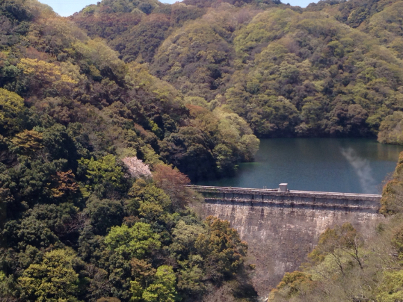 f0304957_16341614.jpg