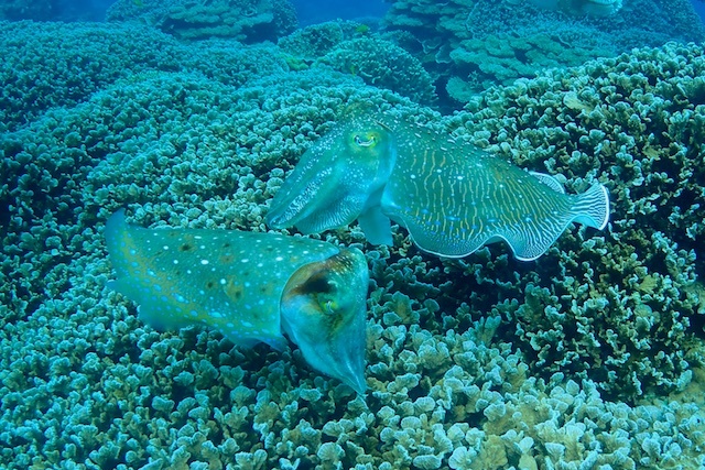 b0062363_16473144.jpg