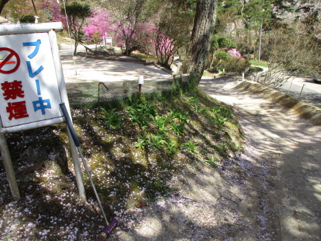 a0157268_16542640.jpg