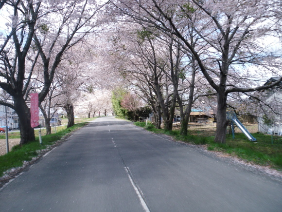 c0325468_21011615.jpg