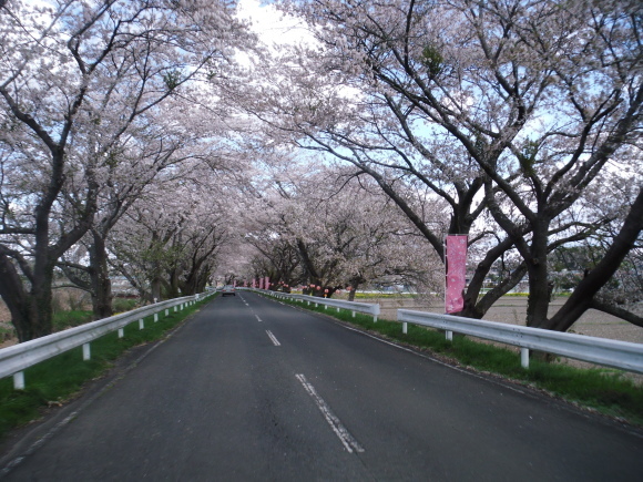 c0325468_21031340.jpg