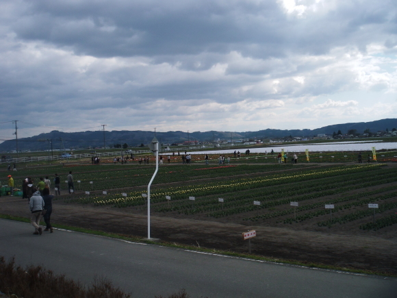 c0325468_21180249.jpg