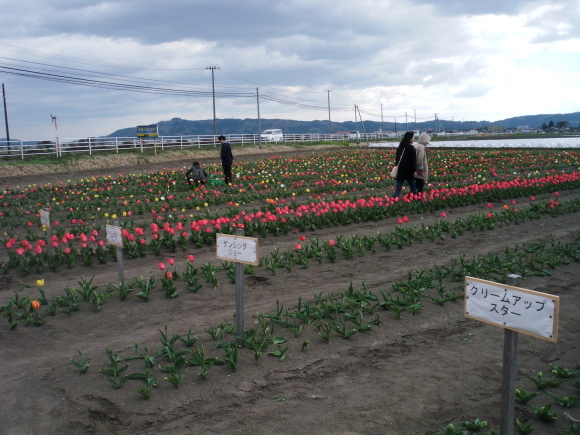 c0325468_21183312.jpg