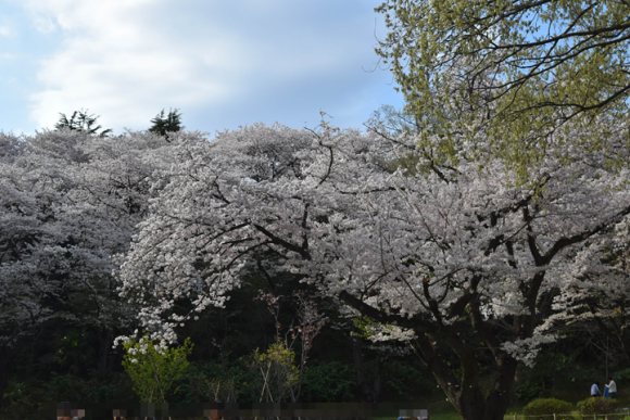 b0242873_22354299.png