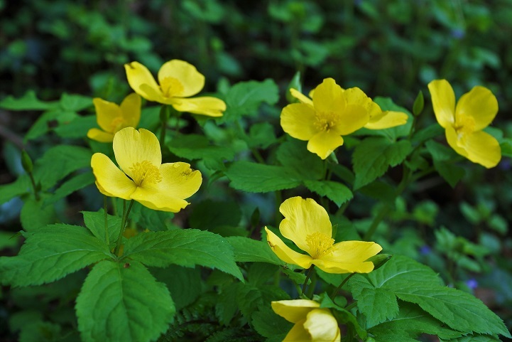 c0248473_20301315.jpg