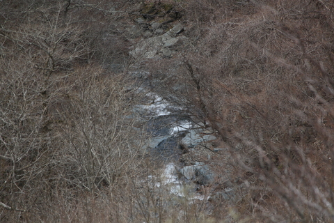 f0075075_1919568.jpg