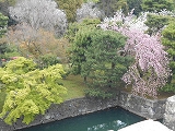 f0222378_18192577.jpg