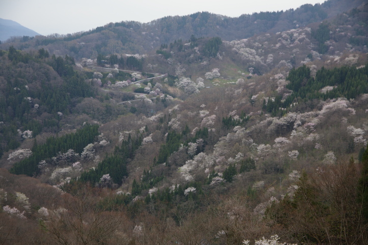 e0165983_11324974.jpg