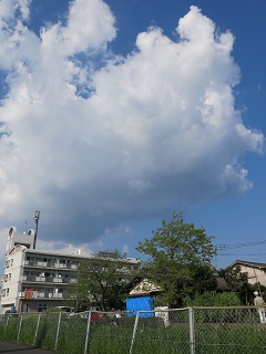 e0130185_18594425.jpg