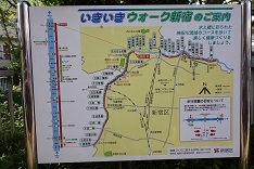 d0183387_00174351.jpg