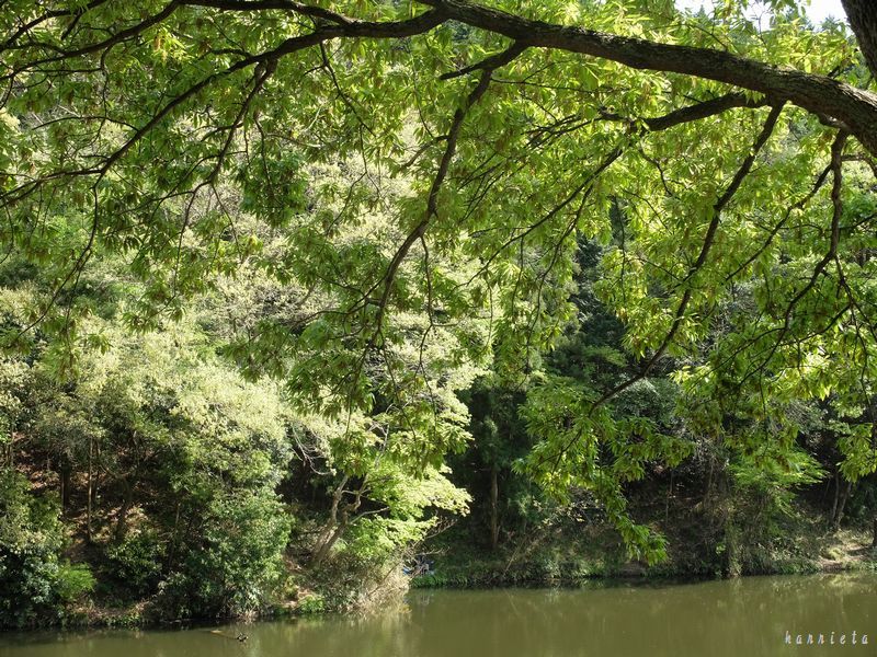 c0152690_22222556.jpg