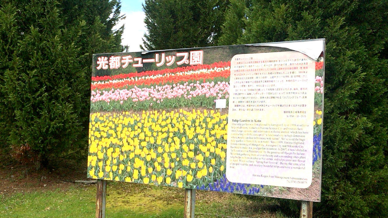 c0350290_23130783.jpg
