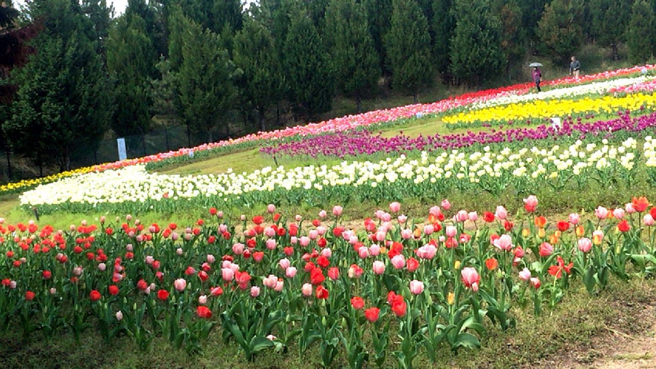 c0350290_23132667.jpg