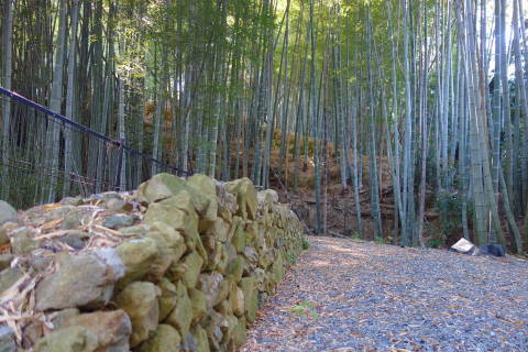 b0069604_18101089.jpg
