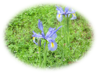 b0273309_1931142.png