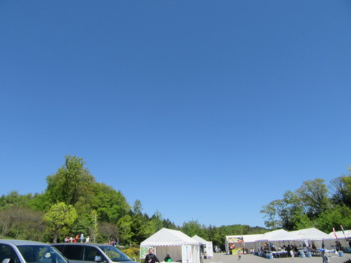 f0231709_11142720.jpg