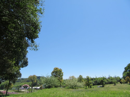 f0231709_11185598.jpg