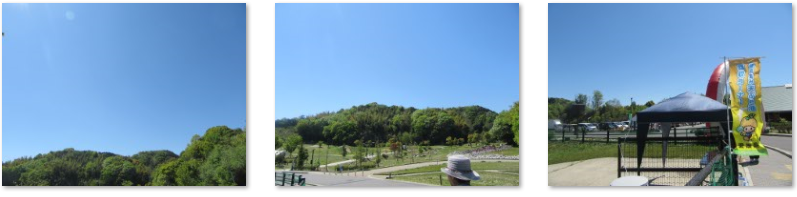 f0231709_119148.png