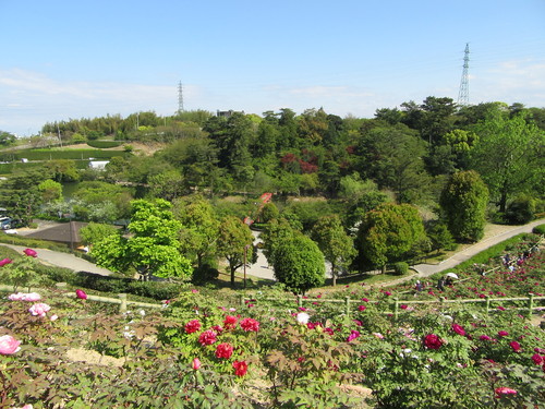 f0231709_1824863.jpg
