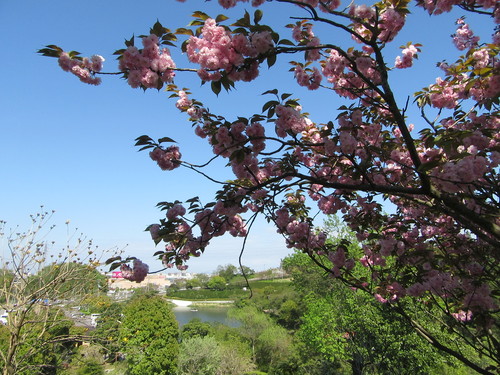 f0231709_18335627.jpg