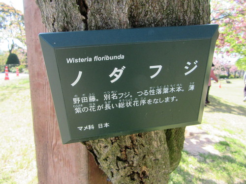 f0231709_18383619.jpg