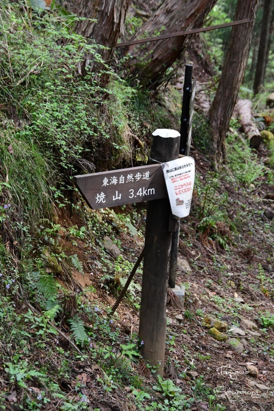 b0223512_22081210.jpg
