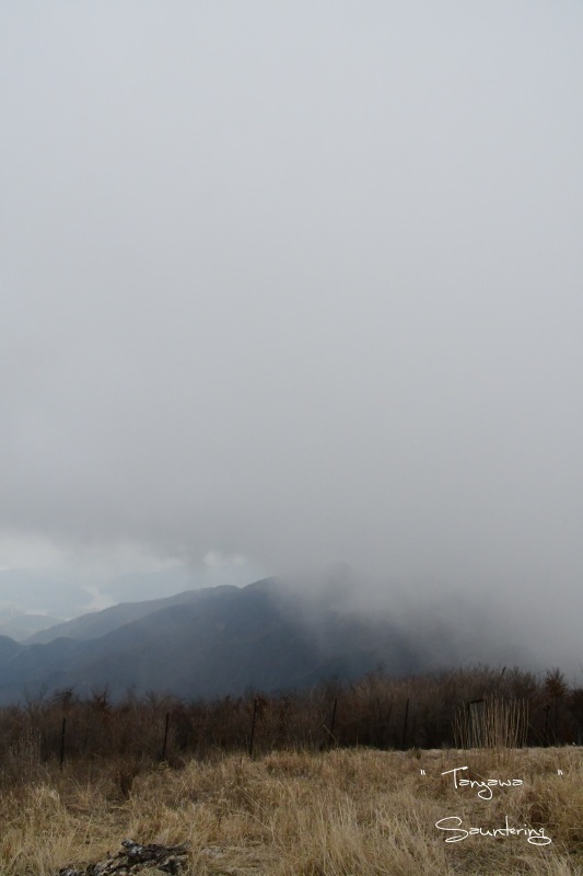 b0223512_22563119.jpg